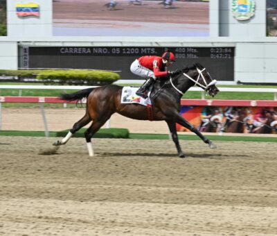 Magicshadow, horse, Yoshida, Clásico Socopó, domingo, 15 de marzo de 2026, La Rinconada. Foto: José Antonio Aray