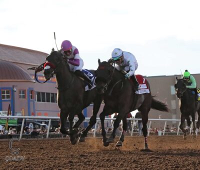 Pavlovian, Horses, Reddam Racing LLC, Sunland Park Derby, domingo, 15 de febrero de 2026, Sunland Park. Foto: Coady Media @coadymediaUSA