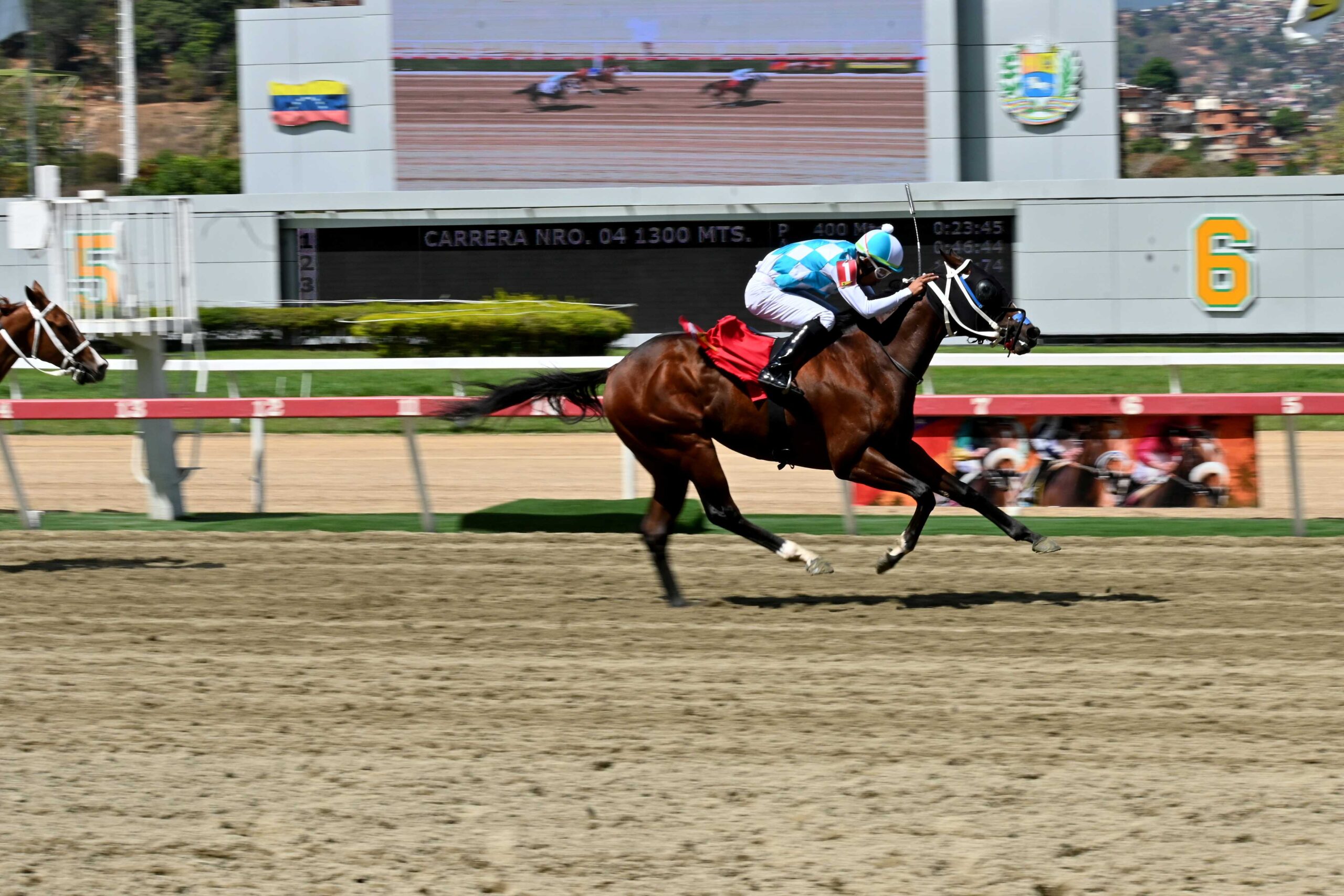Ponsigue, horse, Tato Zeta, Clásico Mauricio Azar, domingo, 8 de marzo de 2026, La Rinconada. Foto: José Antonio Aray