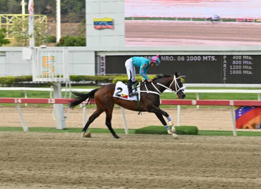Princesa Fina, horse, King Seraf, Clásico Gustavo J. Sanabria, domingo, 15 de marzo de 2026, La Rinconada. Foto: José Antonio Aray