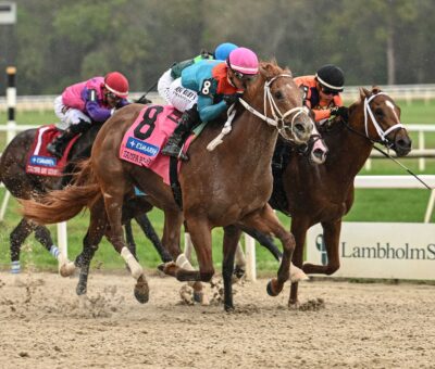 The Puma, horse, Hidden Brook Farm, Tampa Bay Derby, sábado, 7 de marzo de 2026 Tampa Bay Downs Foto: SV Photography