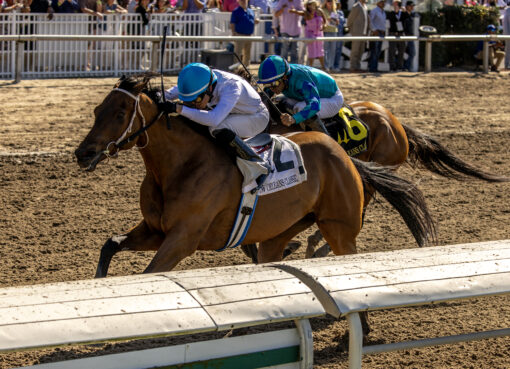 Touchuponastar, horse, Coteau Grove Farms, New Orleans Classic, sábado, 21 de marzo de 2026, Fair Grounds. Foto: Hodges Photography