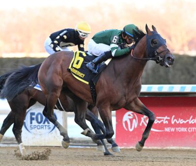 IIron Honor, horse, St. Elias Stable, Gotham Stakes, sábado, 28 de febrero de 2028, Aqueduct. Foto: Coglaniese Photo & Chelsea Durand