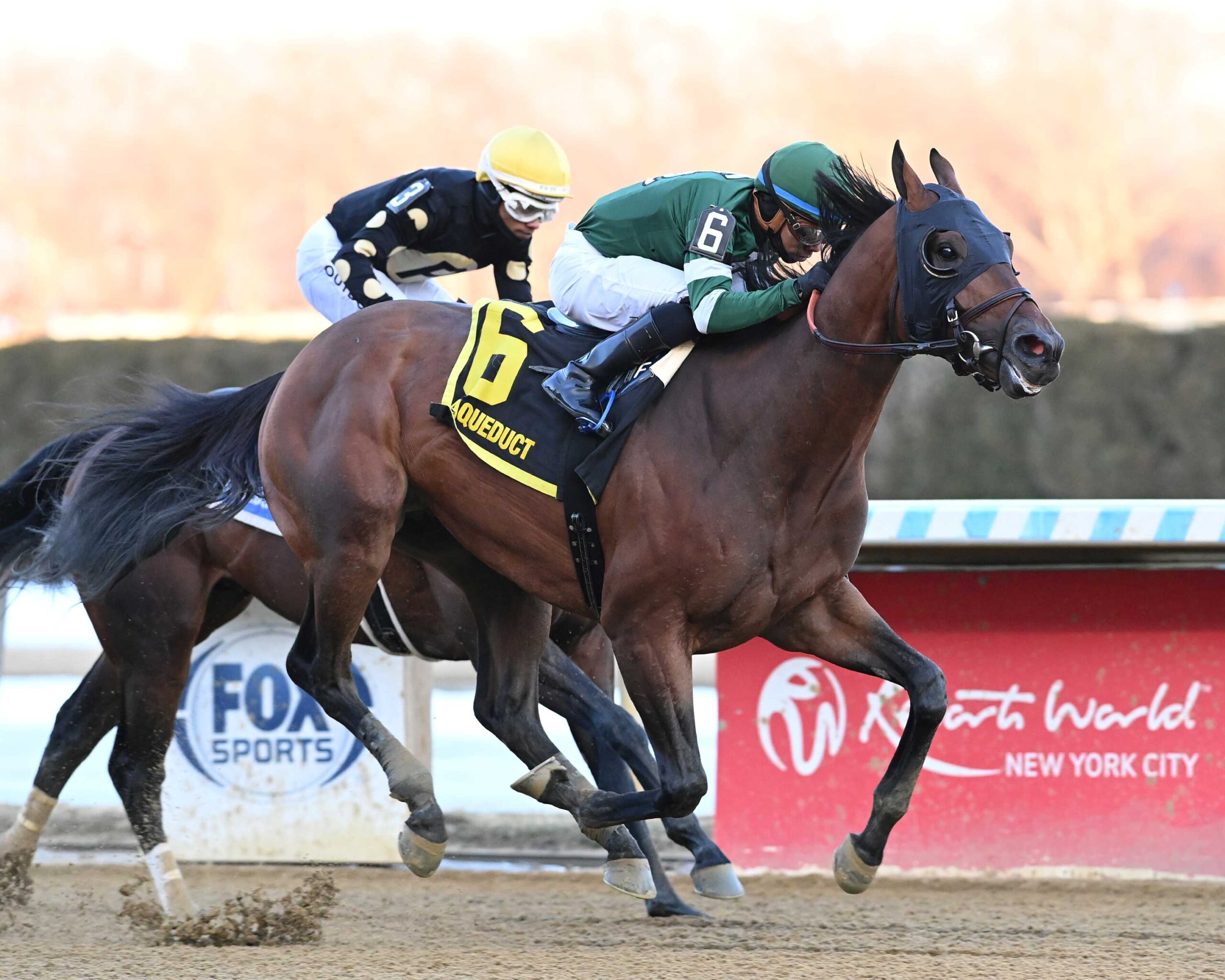 IIron Honor, horse, St. Elias Stable, Gotham Stakes, sábado, 28 de febrero de 2028, Aqueduct. Foto: Coglaniese Photo & Chelsea Durand