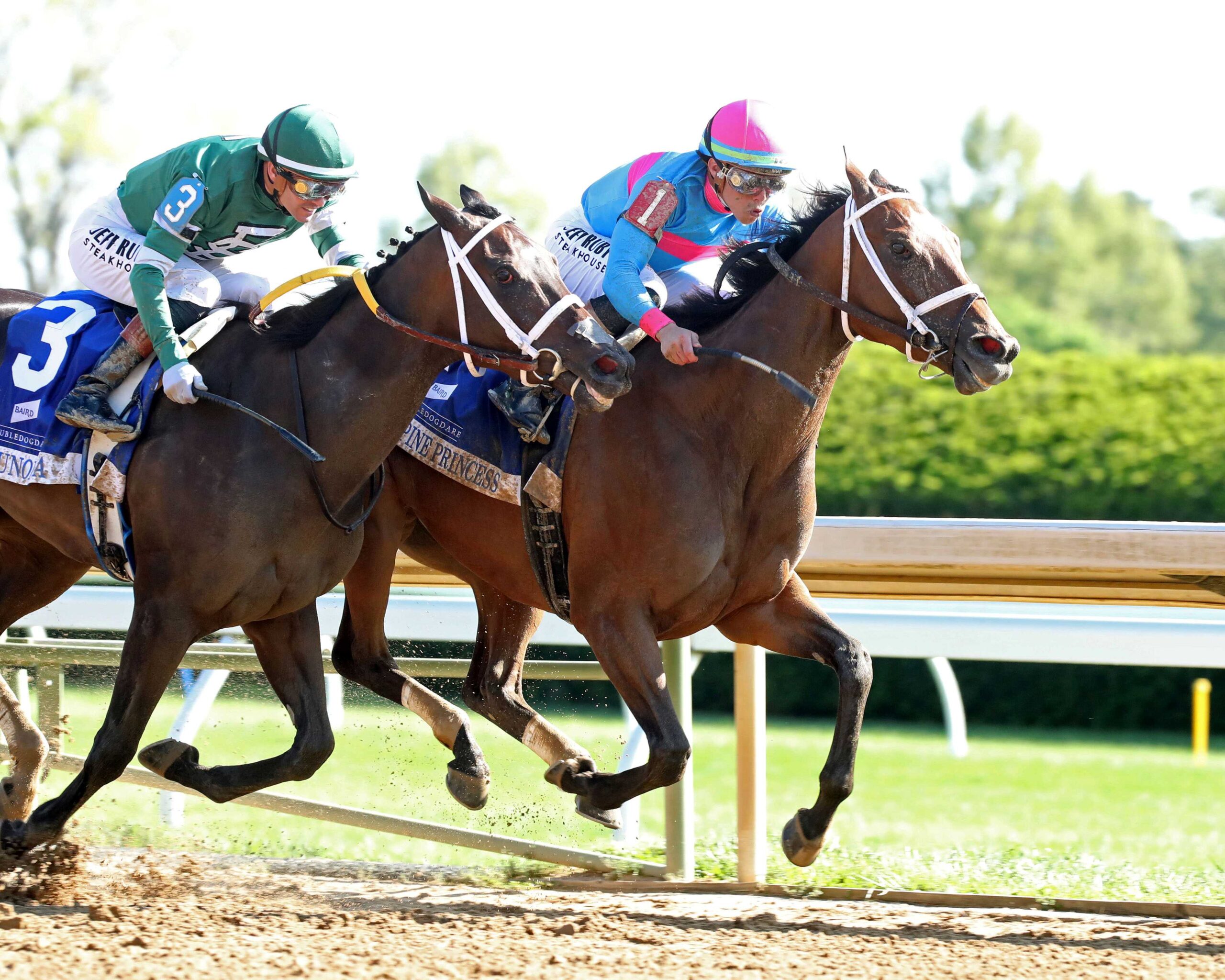 Alapine Princess, horse, Madaket Stables, Baird Dobledogdare Stakes, viernes, 17 de abril de 2026, Keeneland. Foto: Coady Media