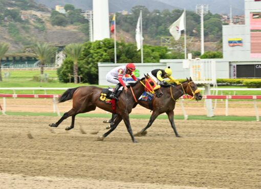 Farolera, horse, Maximum Security, Clásico Manuel Fonseca Arroyal, domingo, 12 de abril de 2026, La Rinconada. Foto: José Antonio Aray