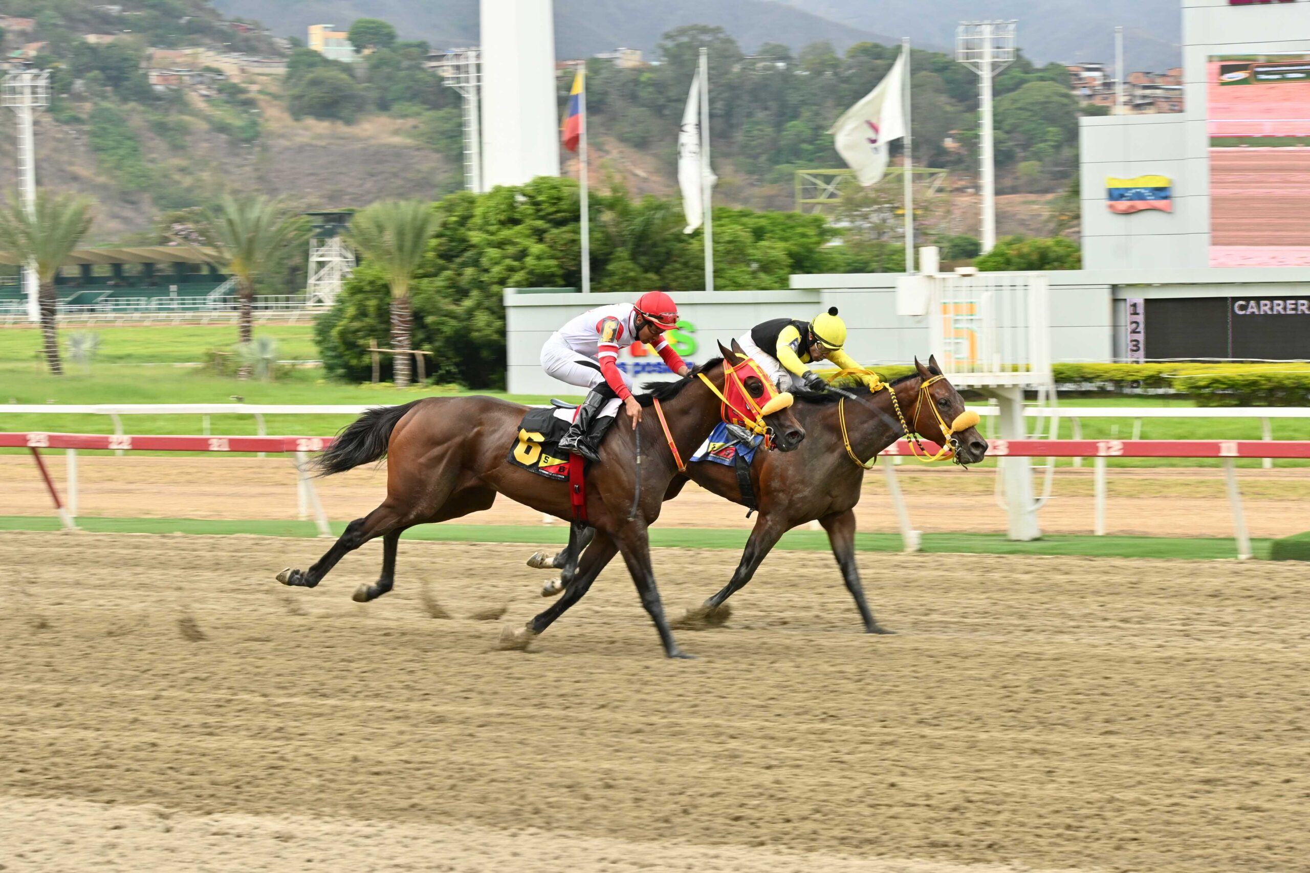 Farolera, horse, Maximum Security, Clásico Manuel Fonseca Arroyal, domingo, 12 de abril de 2026, La Rinconada. Foto: José Antonio Aray