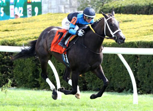 In Our Time, horses, Resolute Racing, Giant´s Causeway Stakes, domingo, 12 de abril de 2026, Keeneland. Foto: Coady Media