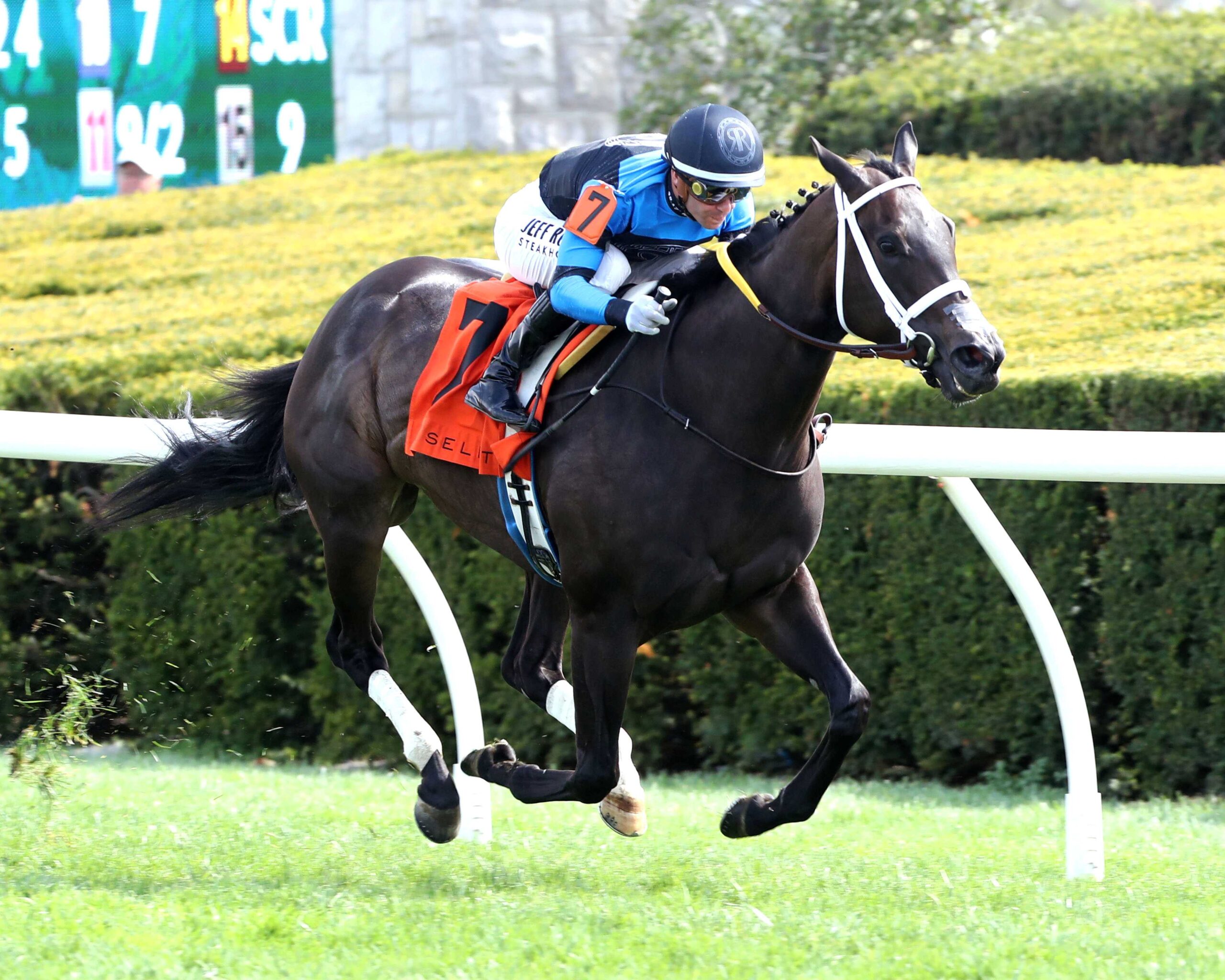 In Our Time, horses, Resolute Racing, Giant´s Causeway Stakes, domingo, 12 de abril de 2026, Keeneland. Foto: Coady Media