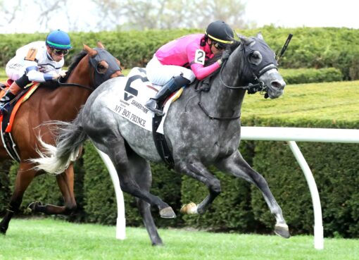 My Boy Prince, horse, Gary Barber, Shakertown Stakes, sábado, 4 de abril de 2026, Keeneland. Foto: Coady Media