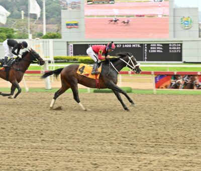 Magicshadow, horse, Yoshida, Clásico Federico Carmona Perera, domingo, 12 de abril de 2026, La Rinconada. Foto: José Antonio Aray