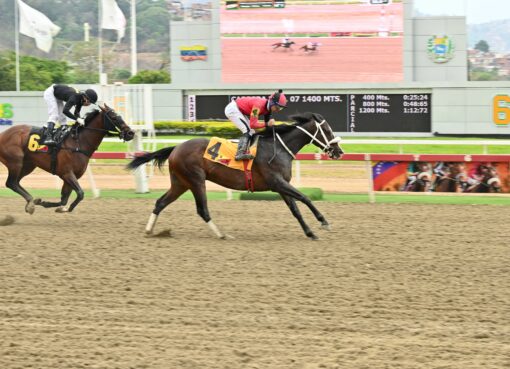 Magicshadow, horse, Yoshida, Clásico Federico Carmona Perera, domingo, 12 de abril de 2026, La Rinconada. Foto: José Antonio Aray