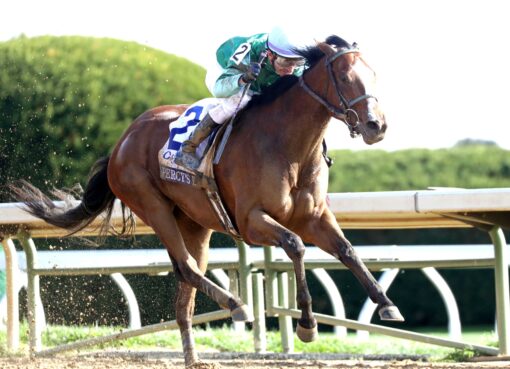 Percy´s Bar, horse, Upstart, Central Bank Ashland, viernes, 3 de abril de 2026, Keeneland. Foto: Coady Photo