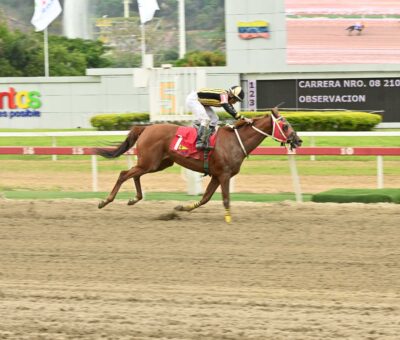 Quality Princess, horse, Big Prairie, Clásico Blondy, sábado, 25 de abril de 2026, La Rinconada. Foto: José Antonio Aray