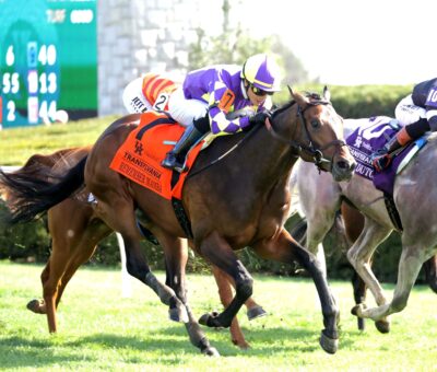 Remember Mamba, horse, Kitten´s Joy, Transylvania Stakes, viernes, 3 de abril de 2026, Keeneland. Foto: Coady Media