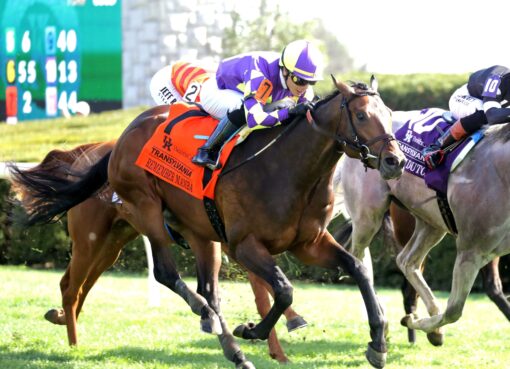 Remember Mamba, horse, Kitten´s Joy, Transylvania Stakes, viernes, 3 de abril de 2026, Keeneland. Foto: Coady Media