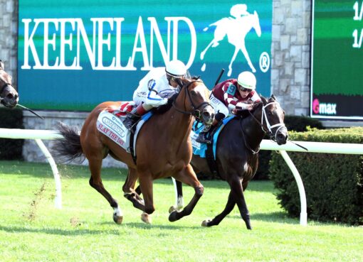 Slay The Day, horse, Pin Oak Stud, Fanduel Limestone Stakes, viernes, 10 de abril de 2026, Keeneland. Foto: Coady Media