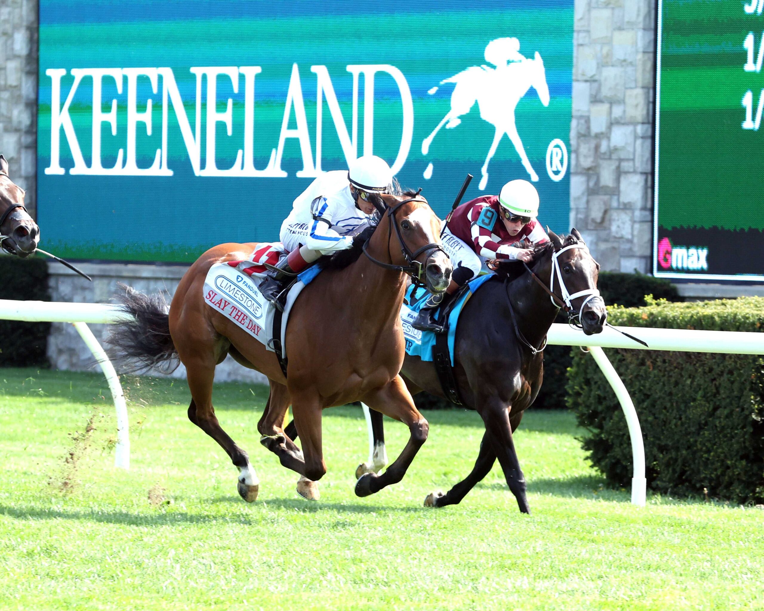 Slay The Day, horse, Pin Oak Stud, Fanduel Limestone Stakes, viernes, 10 de abril de 2026, Keeneland. Foto: Coady Media