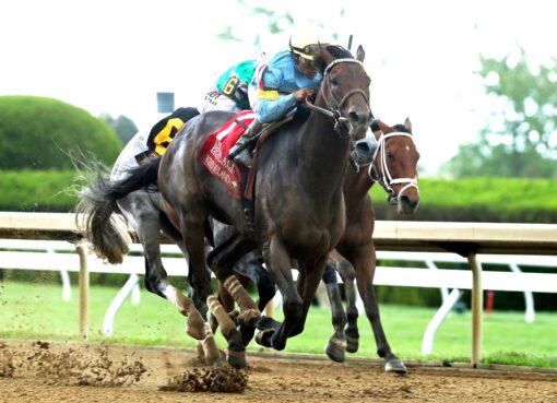 Stars And Stripes, horses, Not This Time, Ben Ali Stakes, sábado, 18 de abril de 2026, Keeneland. Foto: Coady Media