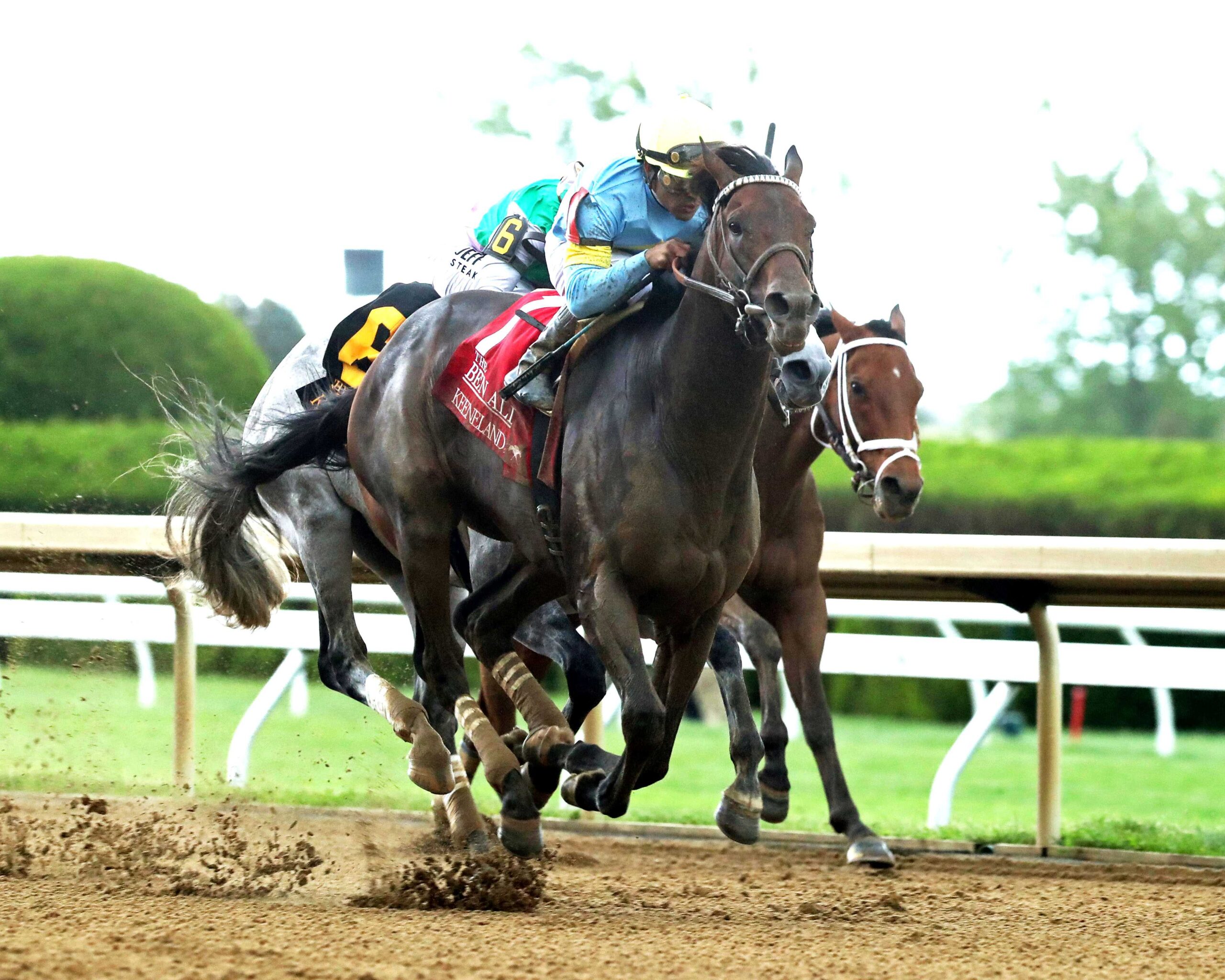 Stars And Stripes, horses, Not This Time, Ben Ali Stakes, sábado, 18 de abril de 2026, Keeneland. Foto: Coady Media