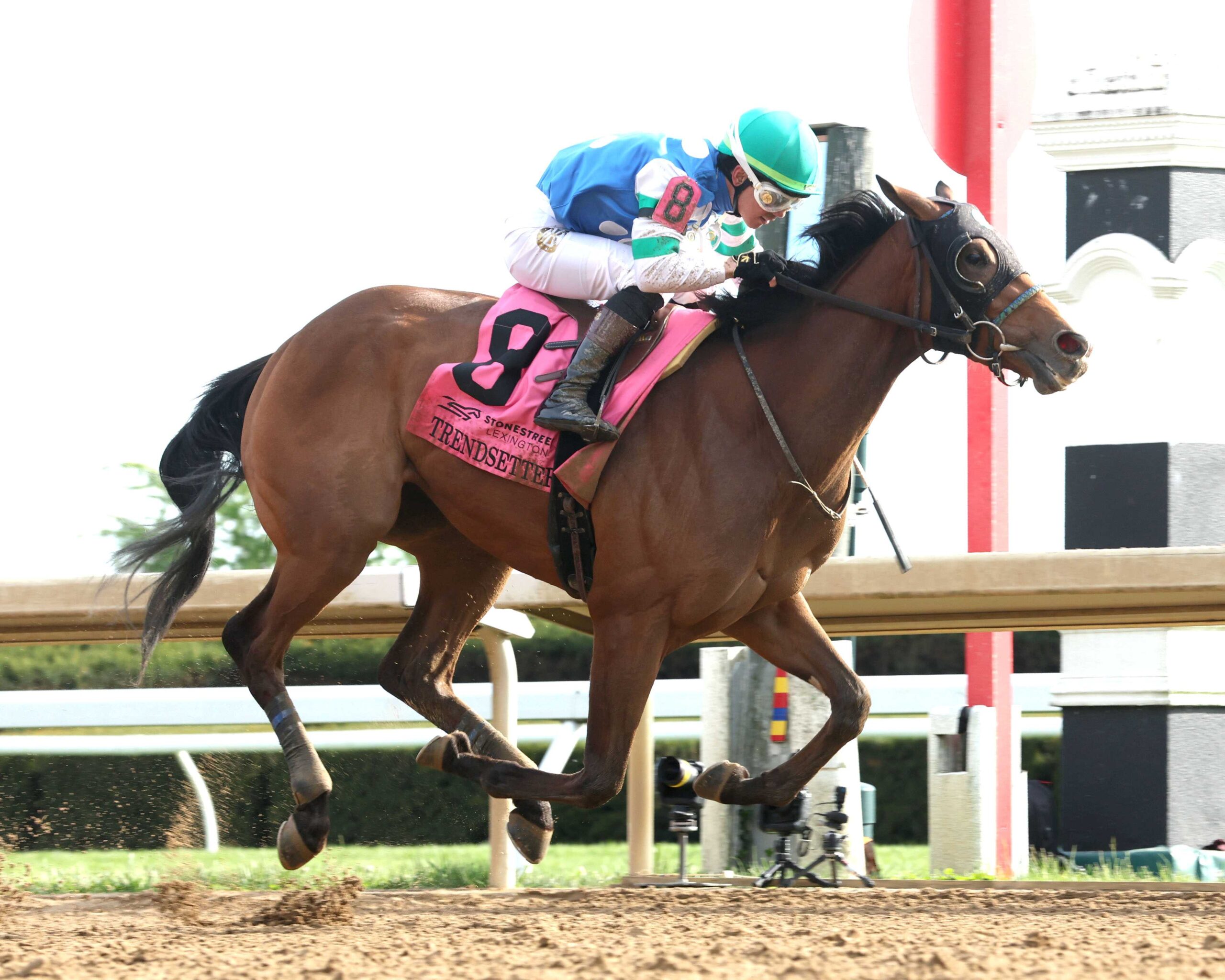 Trendsetter, horse, Modernist, Stonestreet Lexington Stakes, sábado, 11 de abril de 2026, Keeneland. Foto: Coady Media