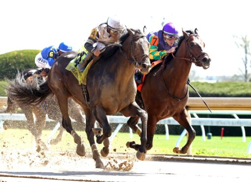 Trouble Calling, horse, Donamire Farm, Lafayette Stakes, viernes, 3 de abril de 2026, Keeneland. Foto: Coady Media