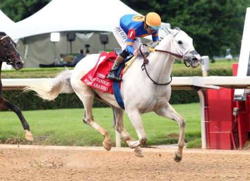 White Abarrio, horse, Spendthrift Farm, Oaklawn Hándicap, sábado, 18 de abril de 2026, Oaklawn Park. Foto: Coady Media