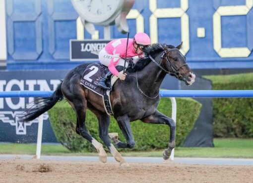 Wonder Dean, Horses, Dee Majesty, UAE Derby, Meydan Racecourse, sábado, 28 de marzo de 2026. Foto: Liesl King & Media DWC