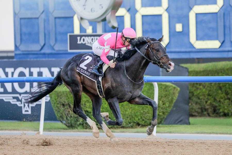 Wonder Dean, Horses, Dee Majesty, UAE Derby, Meydan Racecourse, sábado, 28 de marzo de 2026. Foto: Liesl King & Media DWC