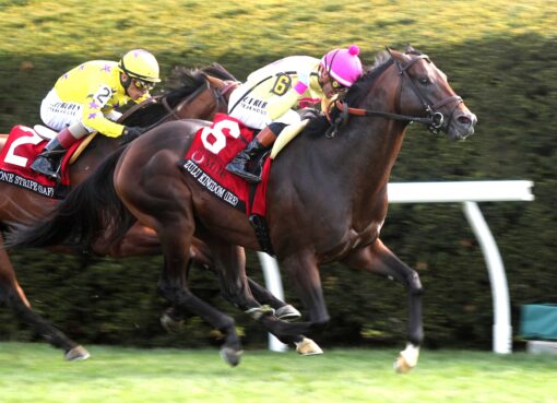 Zulu Kingdom, horse, Ten Sovereigns, Maker´s Make Mile Stakes, viernes, 10 de abril de 2026, Keeneland. Foto: Coady Media