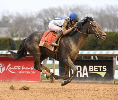 Albus, horse, Yaupon, Resort World Casino Wood Memorial, sábado, 4 de abril de 2026, Aqueduct. Foto: Coglaniese Photo
