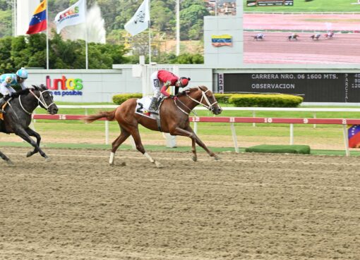 Búnker, horse, Constructor White, Clásico Hypocrite, domingo, 10 de mayo de 2026, La Rinconada. Foto: José Antonio Aray