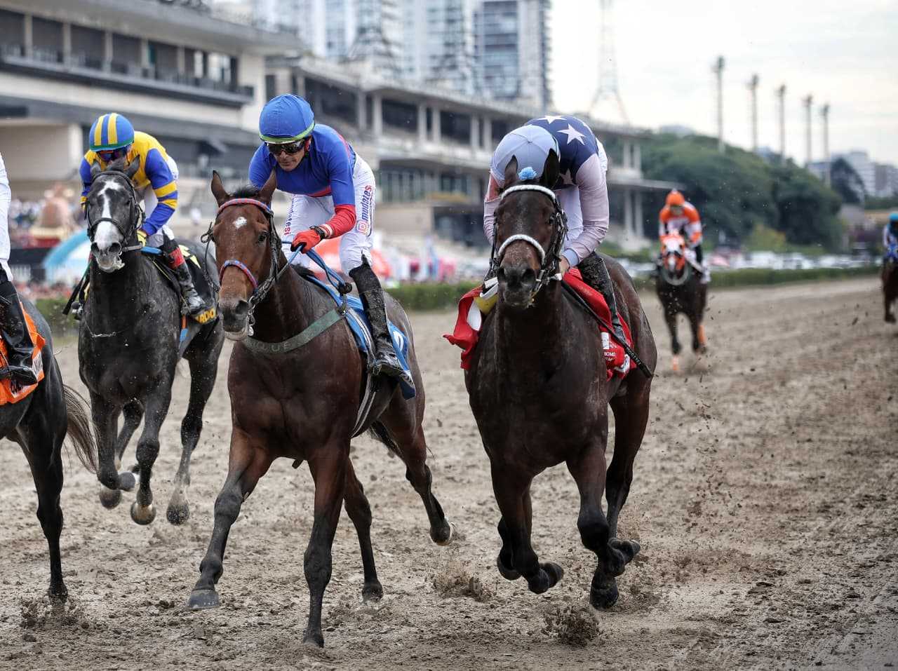 Emotion Rate, horse, Haras Don Yayo, Gran Premio Montevideo, sábado, 1 de mayo de 2026, Hipódromo de Palermo. Foto: Prensa Palermo