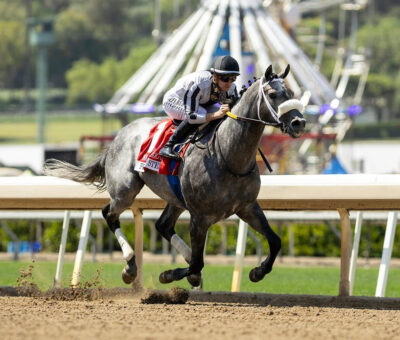 Foged Steel, horse, Vekoma, Hollywood Gold Cup Stakes, lunes, 25 de mayo de 2026, Santa Anita Park. Foto: Benoit Photo
