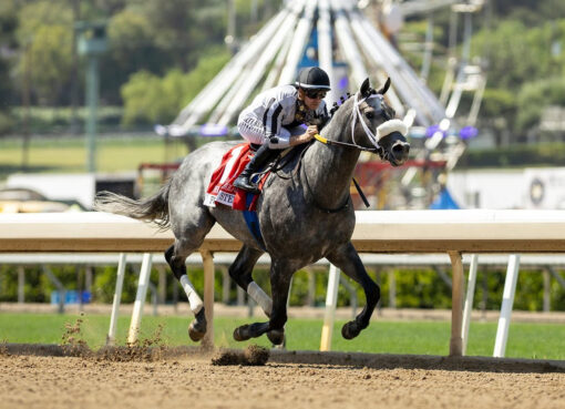 Foged Steel, horse, Vekoma, Hollywood Gold Cup Stakes, lunes, 25 de mayo de 2026, Santa Anita Park. Foto: Benoit Photo
