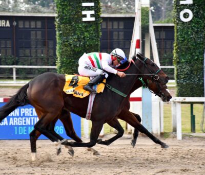 Herd Immunity, horse, Haras El Paraíso, Gran Premio de Criadores, sábado, 1 de mayo de 2026, Hipódromo de Palermo. Foto: Prensa Palermo