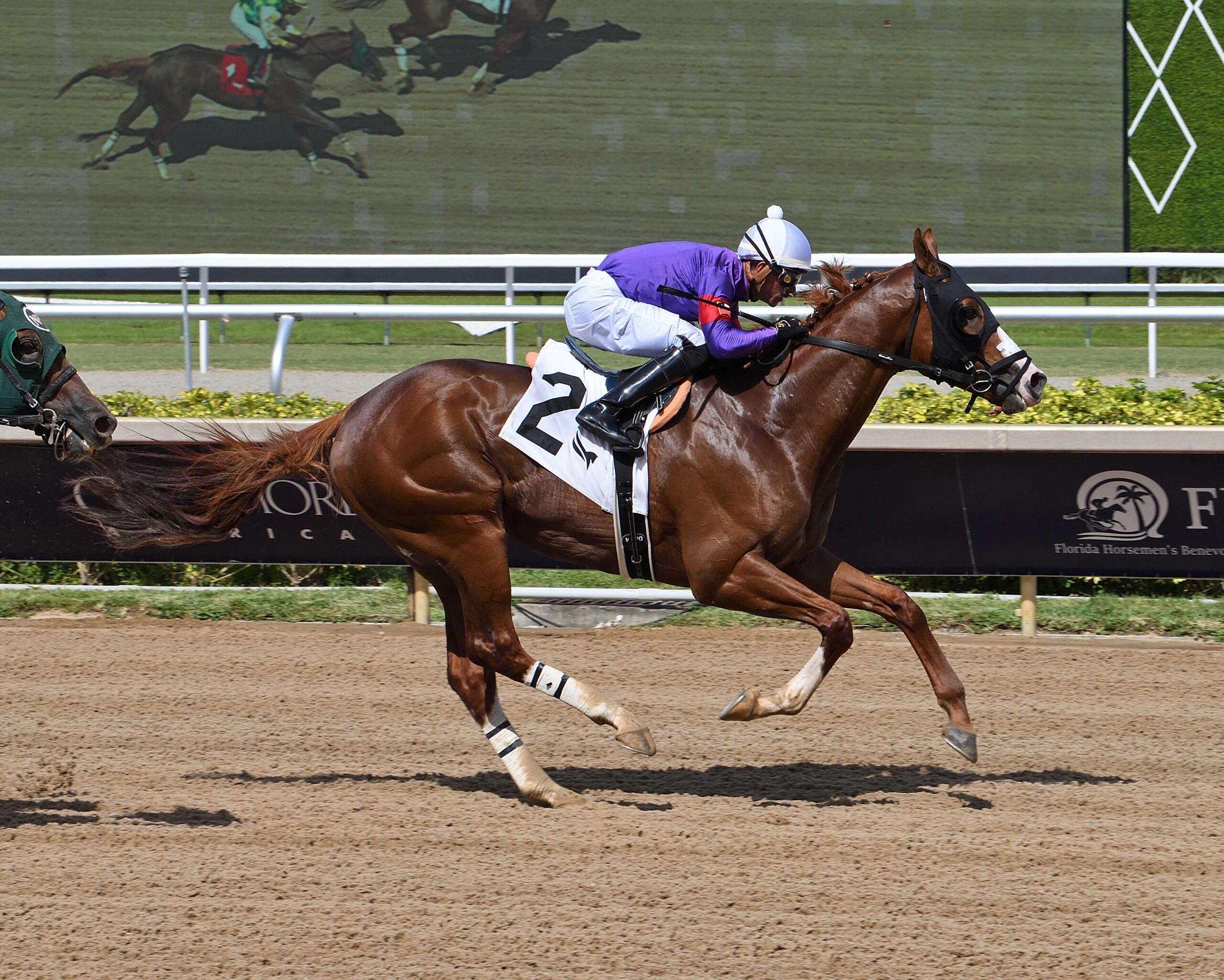Mogul, horse, Classic Empire, Allowance Optional Claiming, viernes, 29 de mayo de 2026, Gulsftream Park. Foto: Coglianese Photo &Ryan Thompson