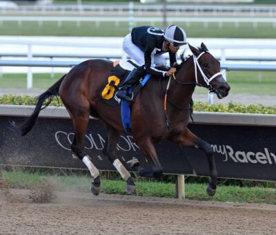 My Miss Mo, horse, Uncle Mo, Maiden Special Weight, sábado, 9 de noviembre de 2025, Gulfstream Park. Foto: Coglianese Photo & Ryan Thompson