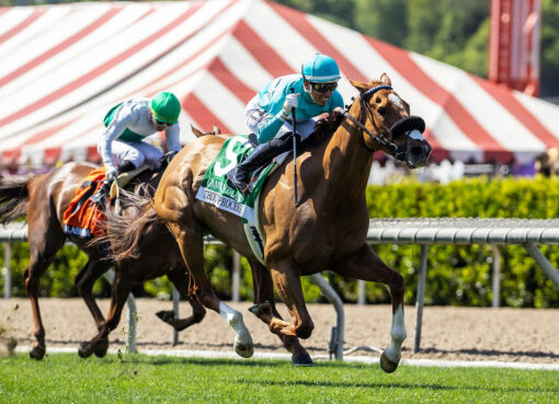 Thought Process, Horses, Collected, Gamely Stakes, lunes, 25 de mayo de 2026, Santa Anita Park. Foto: Benoit Photo
