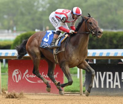 Growth Equity, horse, Nyquist, Peter Pan Stakes, sábado, 9 de mayo de 2026, Belmont At The Big A. Foto: Coglianese Photo