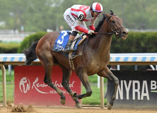 Growth Equity, horse, Nyquist, Peter Pan Stakes, sábado, 9 de mayo de 2026, Belmont At The Big A. Foto: Coglianese Photo