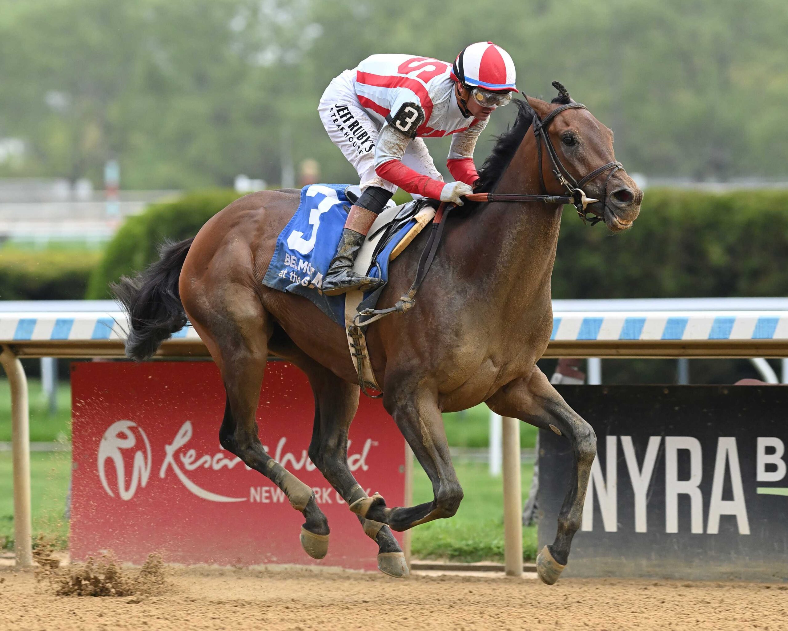 Growth Equity, horse, Nyquist, Peter Pan Stakes, sábado, 9 de mayo de 2026, Belmont At The Big A. Foto: Coglianese Photo