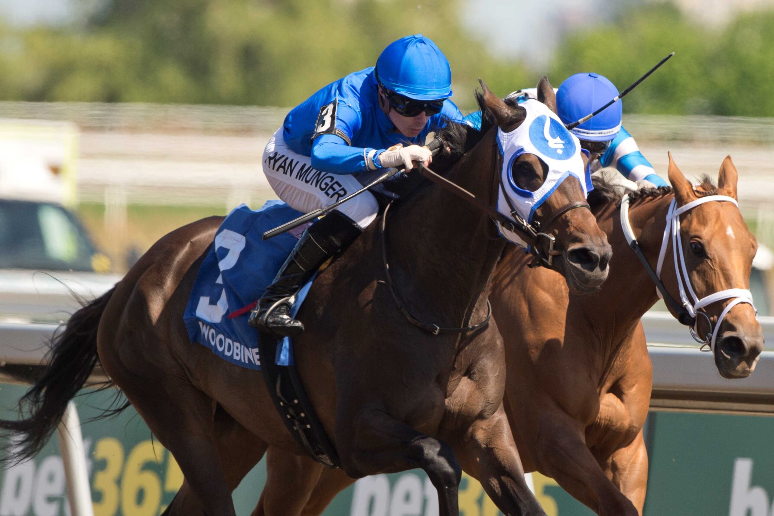 Deloraine, horse, Godolphin LLC, Belle Mahone Stakes, sábado, 30 de mayo de 2026, Woodbine. Michael Burns Photography & Woodbine