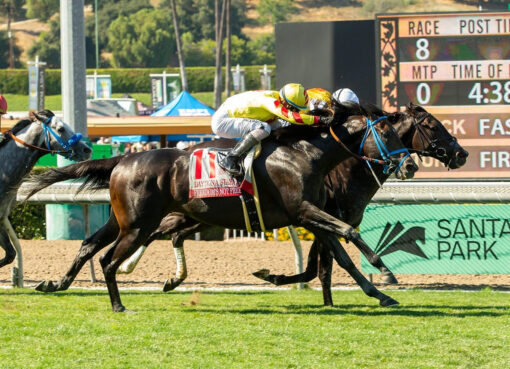 Freedom´s Not Free, Horses, Omaha Beach, Daytona Stakes, sábado, 13 de junio de 2026, Santa Anita Park. Foto: Benoit Photo