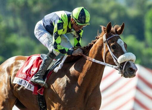 Om N Joy, horses, Om, Santa Margarita Stakes, sábado, 30 de mayo de 2026, Santa Anita Park. Foto: Benoit Photo