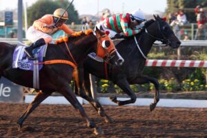 Peatres, horse, International Star, Clásico Tanteo de Potrillos, sábado, 27 de junio de 2026, Hipódromo Chile. Foto: Jaime Cortés