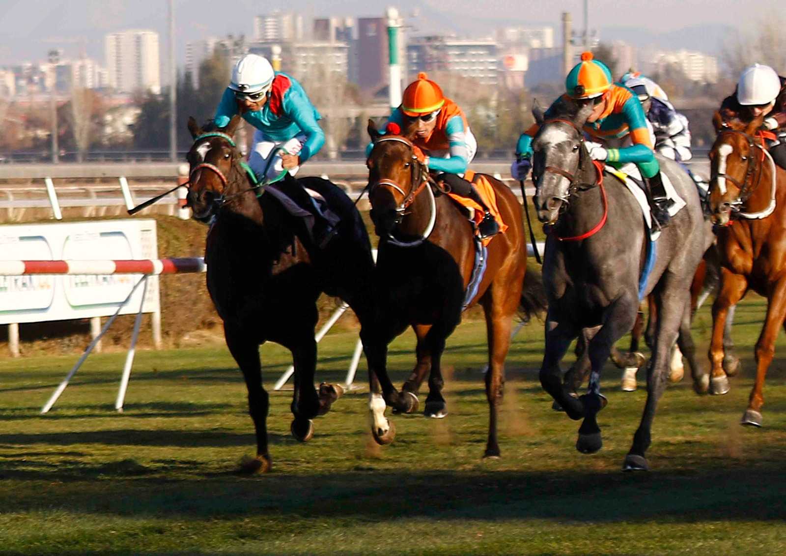 Sulis, horse, Tacitus, Clásico Arturo Lyon Peña, lunes, 29 de junio de 2026, Club Hípico de Santiago. Foto: Jaime Cortés