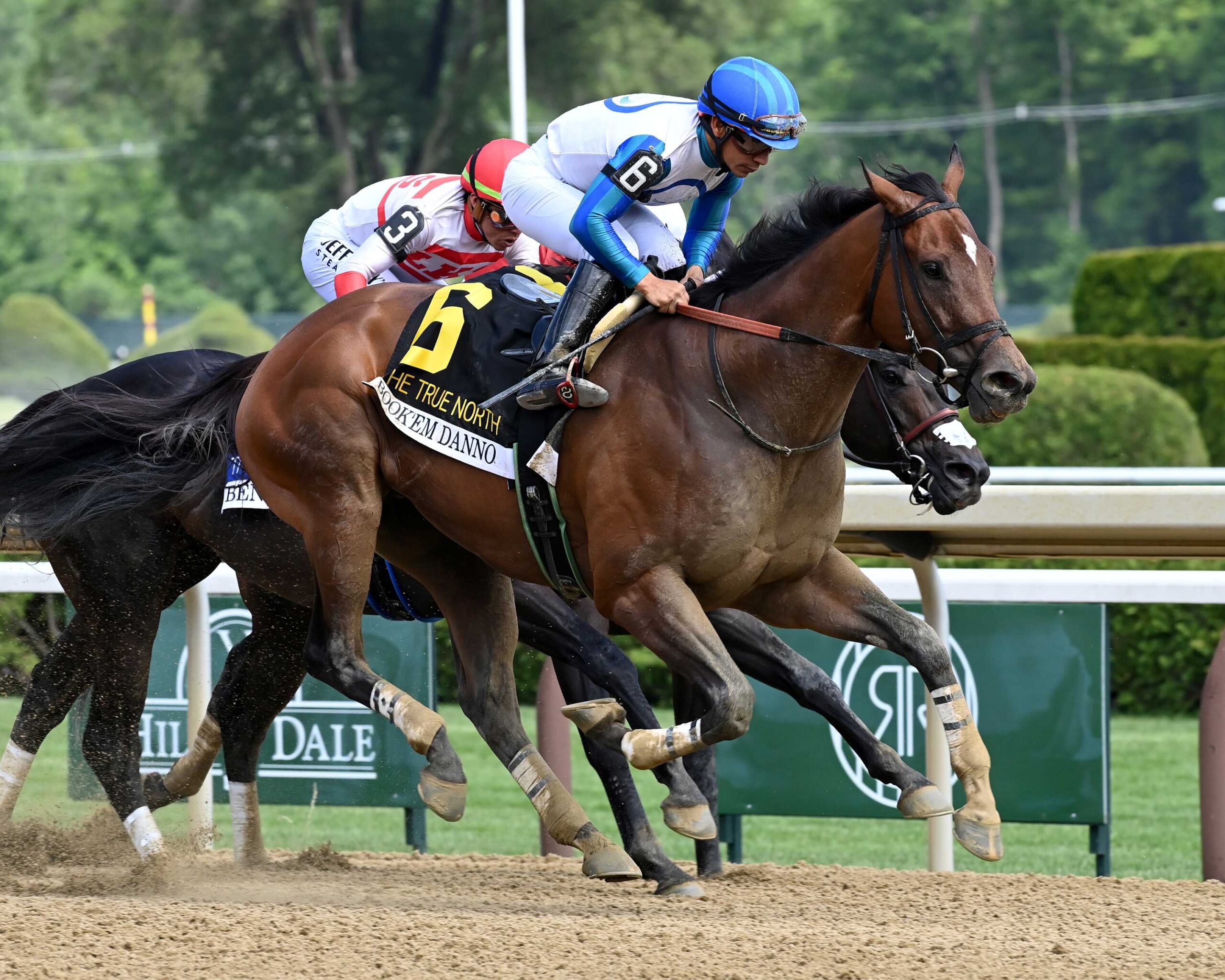 Bookém Danno, horses, Bucchero, True North Stakes, sábado, 6 de junio de 2026, Saratoga. Foto: Coglianese Photo