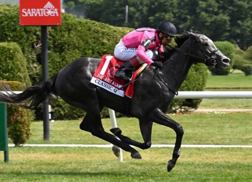 Classic Q, horse, Gary Barber, Just A Game Stakes, sábado, 6 de junio de 2026, Saratoga. Foto: Coglianese Photo