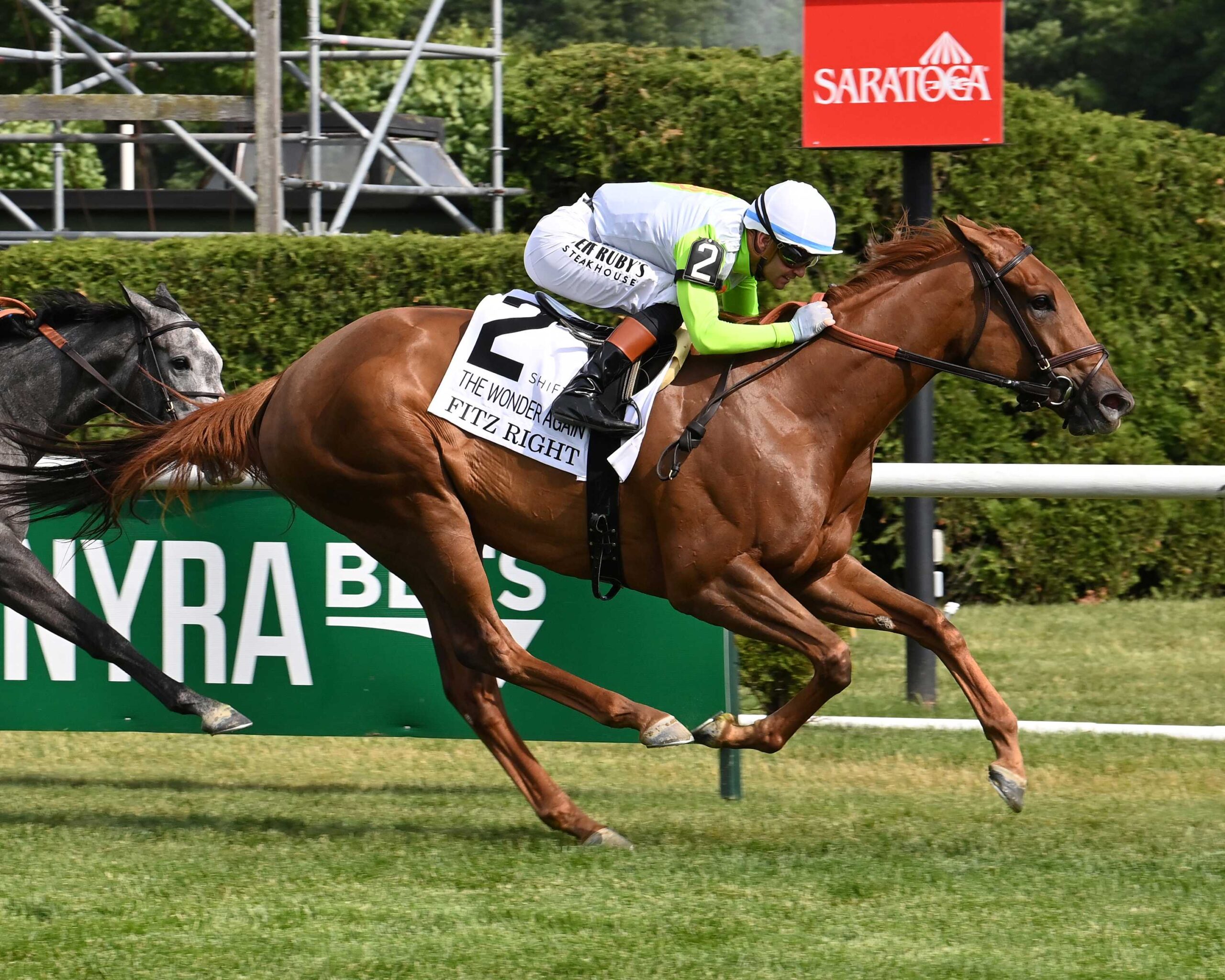 Fitz Right, horses, Stonestreet Thoroughbred Holdings, Wonder Again, viernes, 5 de junio de 2026, Saratoga. Foto: Coglianese Photo